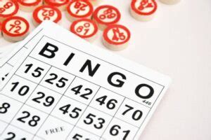 ビンゴ5 過去の当選番号 (2024年).